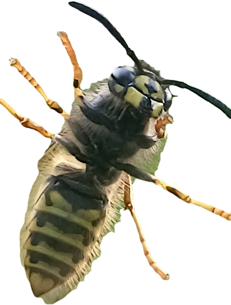 20251030_075847.png