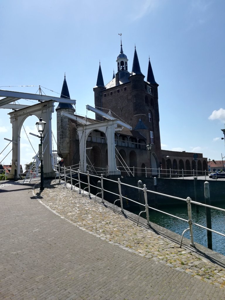 IMG_20220511_131240.jpg