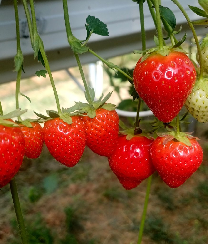 20260526_105416.jpg