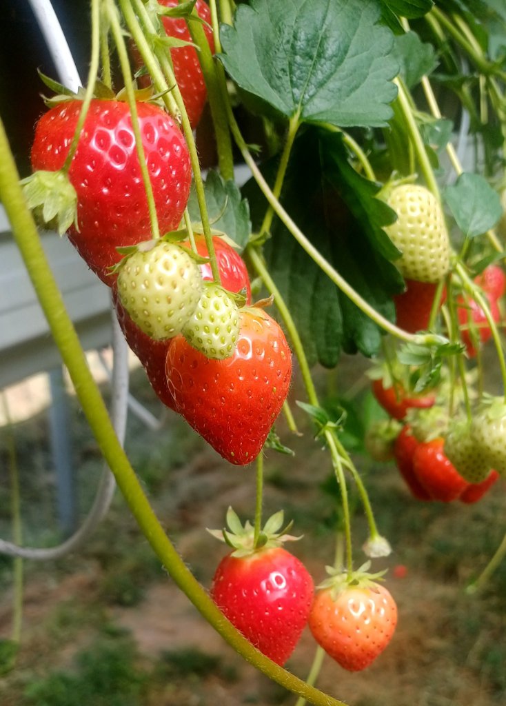 20260526_104827.jpg