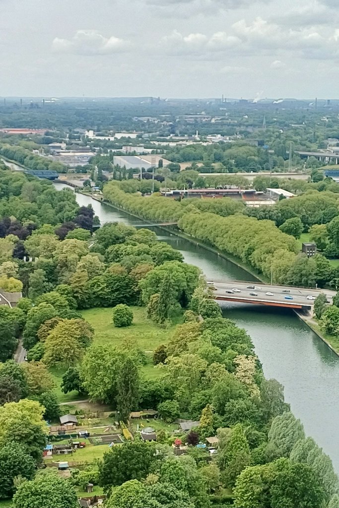 20260519_114718.jpg